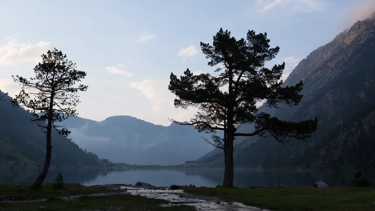 Pine silhouettes by a lake, Pyrenees, France — Nicolas Marincic