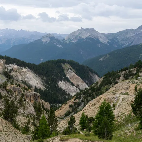 Eroded badlands valley with larches — Nicolas Marincic