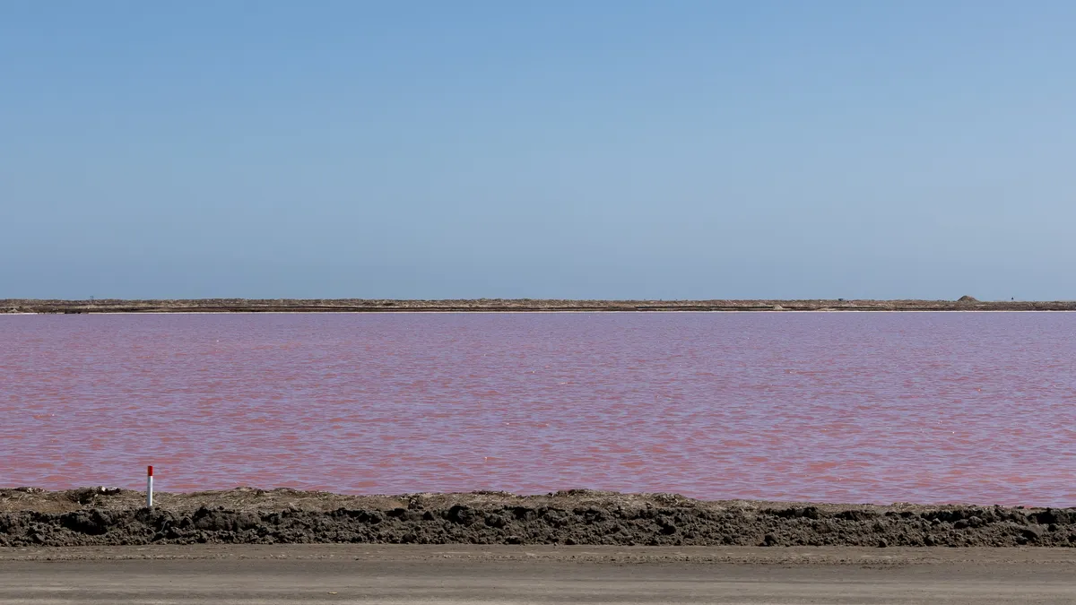 Pink salt-works pans, Namibia — Nicolas Marincic