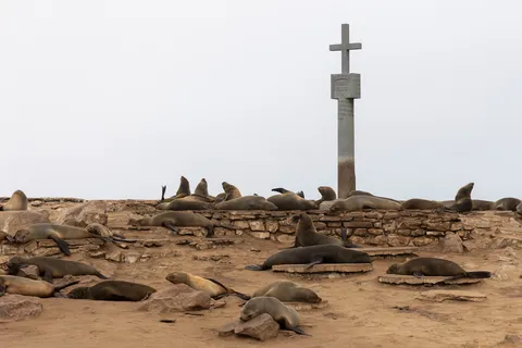 Diogo Cão’s padrão above the seal colony, Cape Cross, Namibia — Nicolas Marincic