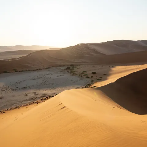 Dune crest in the Namib, Namibia — Nicolas Marincic