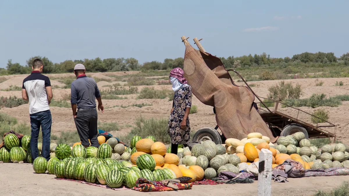 Roadside melon and watermelon sellers, Uzbekistan — Nicolas Marincic