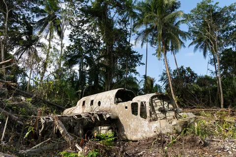 Aircraft wreck overgrown by the jungle, Papua — Nicolas Marincic