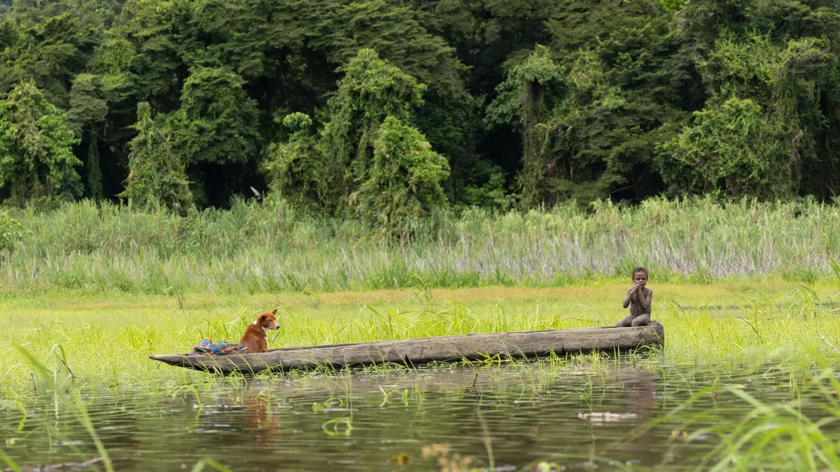 Pirogue sur une rivière bordée de hautes herbes, Papouasie — Nicolas Marincic