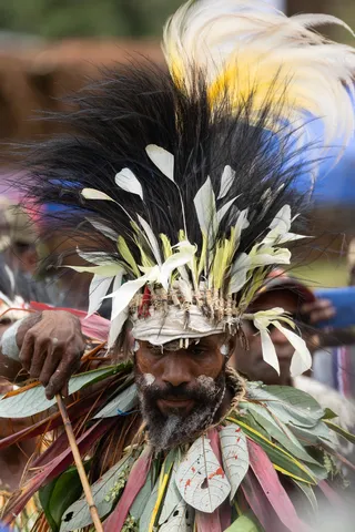 Feathered dancer at a sing-sing, Papua — Nicolas Marincic