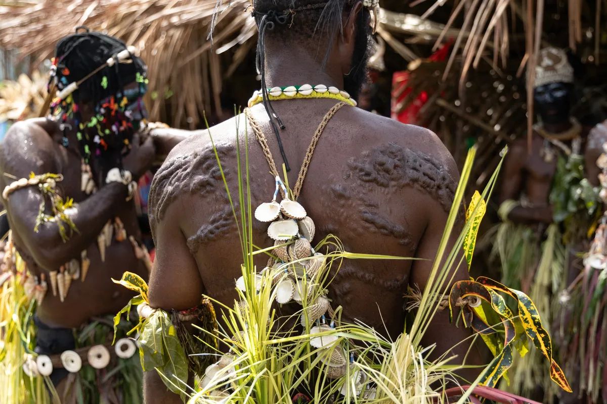 Crocodile scarification from a Sepik initiation, Papua — Nicolas Marincic