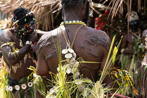 Crocodile scarification from a Sepik initiation, Papua — Nicolas Marincic
