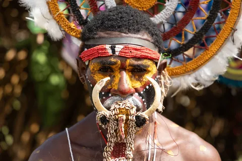 Warrior with face paint and nose ornament, Papua — Nicolas Marincic