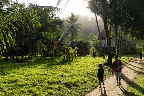 Sentier de village dans la lumière du matin, Papouasie — Nicolas Marincic