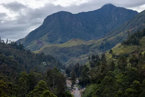 Vallée boisée des hautes terres, Papouasie — Nicolas Marincic