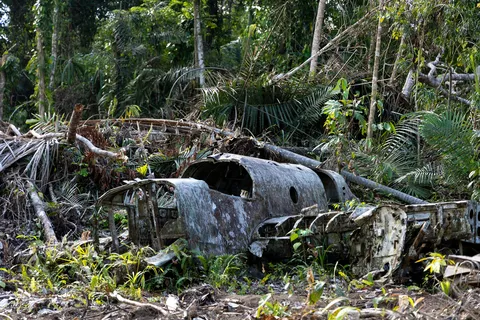 Second World War aircraft wreck swallowed by the jungle, Papua — Nicolas Marincic