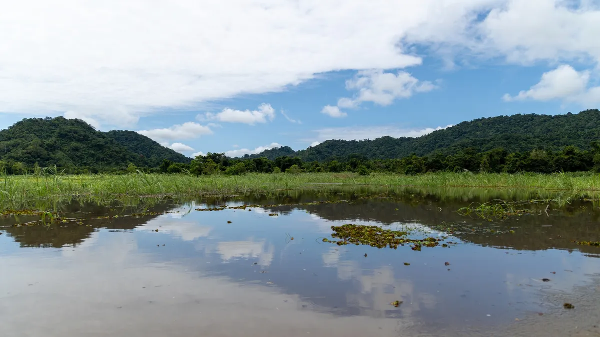 Lagune du Sepik reflétant les collines, Papouasie — Nicolas Marincic
