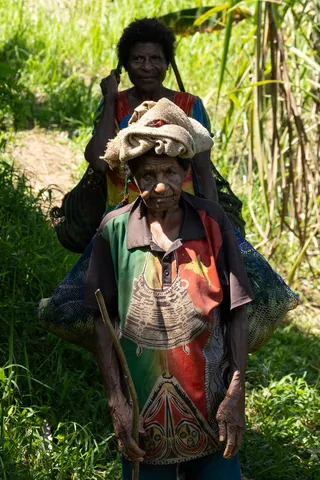 Sepik women in the gardens carrying headloads, Papua — Nicolas Marincic