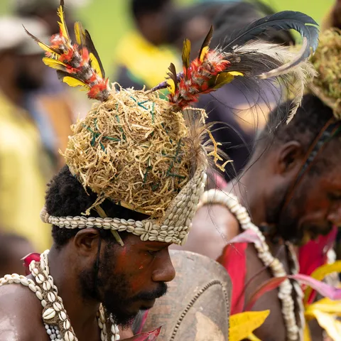 Dancer with bird-of-paradise plumes and shell headdress, Papua — Nicolas Marincic