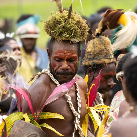 Elder with moss headdress and kina shells, Papua — Nicolas Marincic