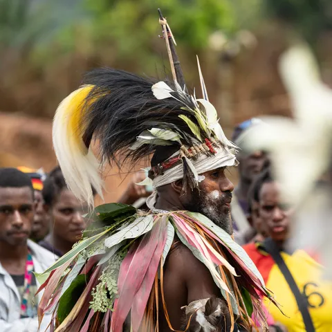 Warrior with a bird-of-paradise plume, Papua — Nicolas Marincic