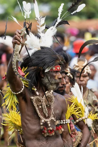 Dancer with white feathers and shells, Papua — Nicolas Marincic