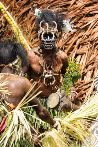 Dancer with a boar-tusk mouthpiece, Papua — Nicolas Marincic