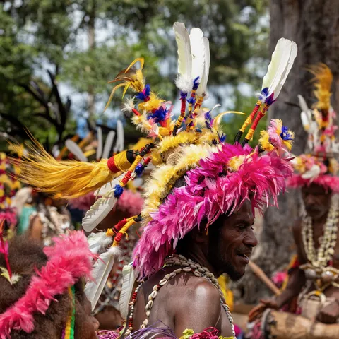 Pink and yellow feather headdresses, Mount Hagen Show, Papua — Nicolas Marincic