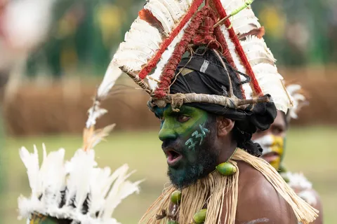 Green-painted face and red feathers, Mount Hagen Show, Papua — Nicolas Marincic