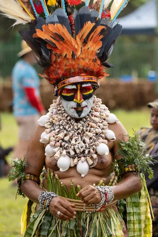 Orange feathers and shell bib, Mount Hagen Show, Papua — Nicolas Marincic