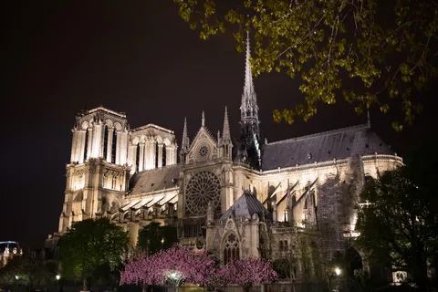 Notre-Dame de Paris illuminée et arbres en fleurs, avant l’incendie, France — Nicolas Marincic