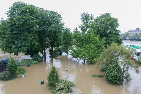 Square du Vert-Galant submerged, June 2016 flood, France — Nicolas Marincic