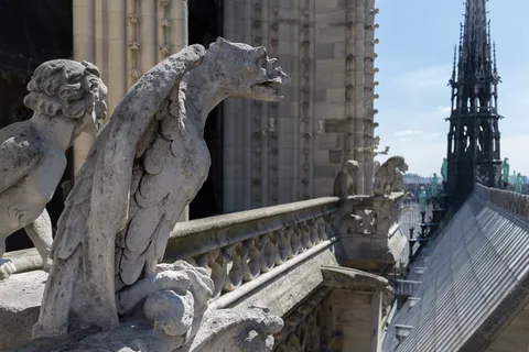 Chimère et flèche de Notre-Dame vues des tours, France — Nicolas Marincic