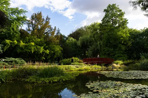 Bassin du jardin botanique de Zagreb, Croatie — Nicolas Marincic