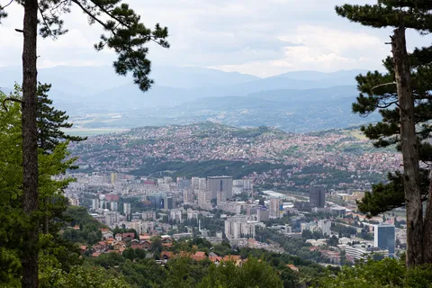 Sarajevo valley from Mount Trebević through the pines, Bosnia and Herzegovina — Nicolas Marincic