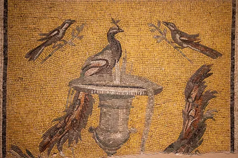 Ancient mosaic with a peacock and birds, Turkey — Nicolas Marincic
