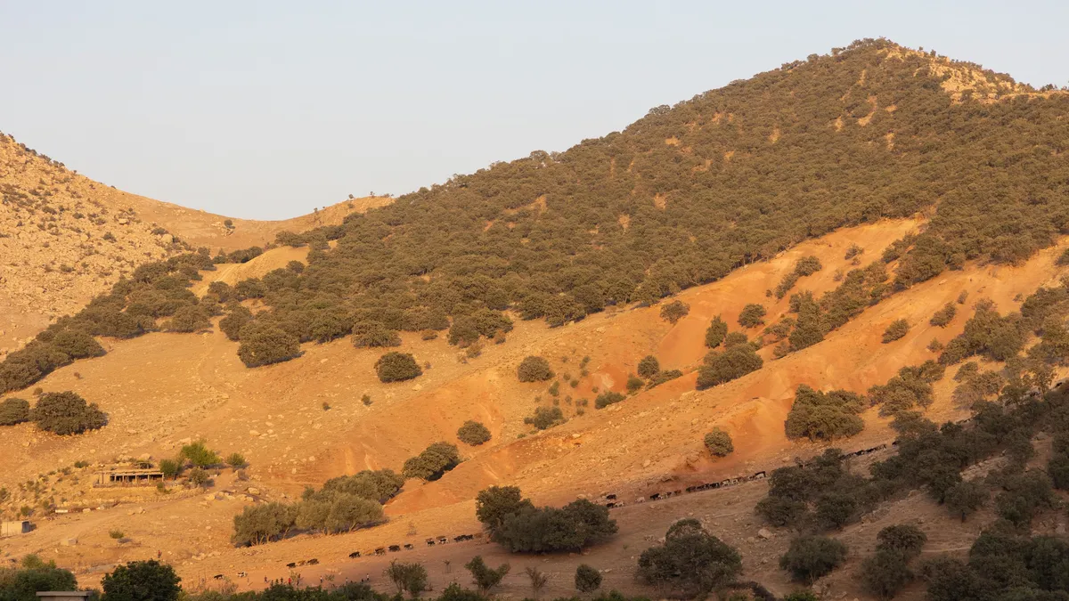 Golden hills in late light near Akre, Iraq (Kurdistan) — Nicolas Marincic
