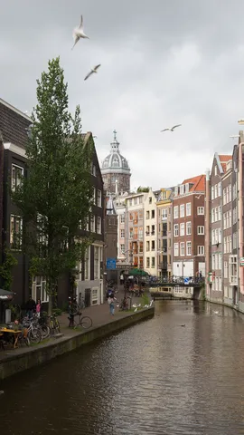 Narrow canal towards St Nicholas dome with gulls, Amsterdam, Netherlands — Nicolas Marincic