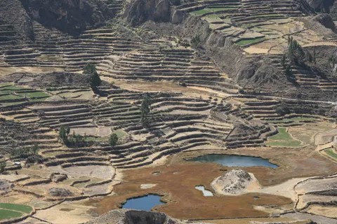 Terraces of the Colca Valley, Peru — Nicolas Marincic