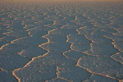 Hexagones de sel dans la lumière dorée, salar d’Uyuni, Bolivie — Nicolas Marincic