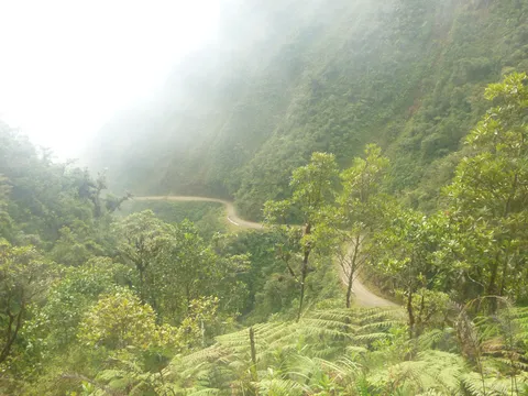 Track through the misty Yungas valleys, Bolivia — Nicolas Marincic