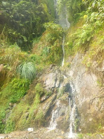 Waterfall down a fern-covered rock face, Bolivia — Nicolas Marincic