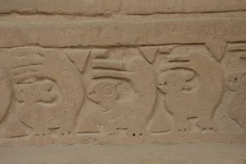 Adobe frieze of fish and birds, Chan Chan, Peru — Nicolas Marincic