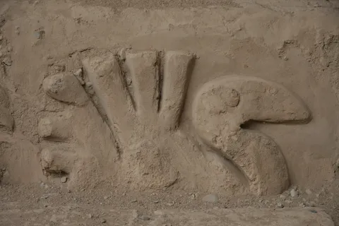 Adobe relief of a pelican, Chan Chan, Peru — Nicolas Marincic