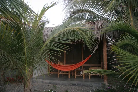 Hammock beneath palms outside a hut, Peru — Nicolas Marincic