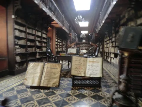 Historic library of the San Francisco Convent, Lima, Peru — Nicolas Marincic