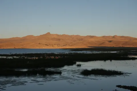 Reed marshes and hills in the last light, Lake Titicaca, Peru — Nicolas Marincic