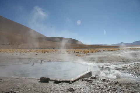 Steaming hot spring on the Altiplano, Bolivia — Nicolas Marincic