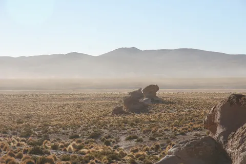 Rocher solitaire dans la brume matinale, Valle de las Rocas, Bolivie — Nicolas Marincic