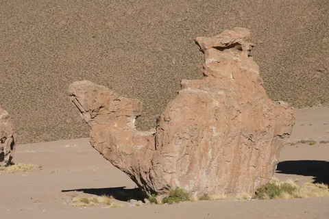 Wind-sculpted rock shaped like a camel, Bolivia — Nicolas Marincic
