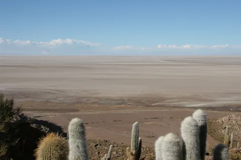 Cactus dominant l’étendue blanche du salar d’Uyuni, Bolivie — Nicolas Marincic