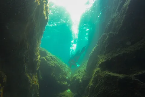 Light shafts in a narrow underwater canyon — Nicolas Marincic