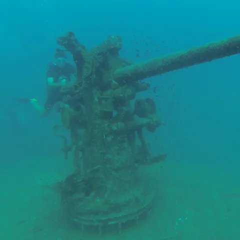 Encrusted deck gun on a wreck, Gulf of Thailand, Thailand — Nicolas Marincic