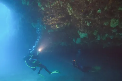 Divers with torches beneath an overhang, France — Nicolas Marincic