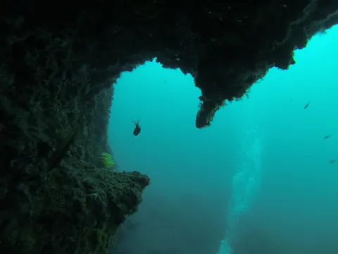 Cave arch and fish, Medes Islands, Spain — Nicolas Marincic